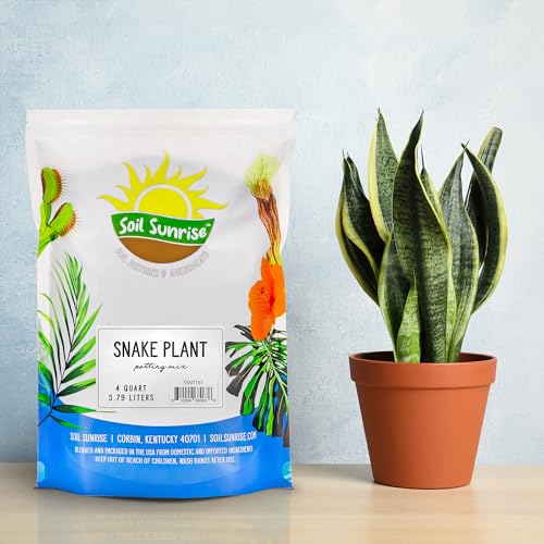 Specialized Snake Plant Potting Soil Mix (4 Quarts) for Green Sansevieria Trifascatia Zeylanica
| Green Sansevieria Tri
